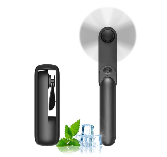 Portable fan